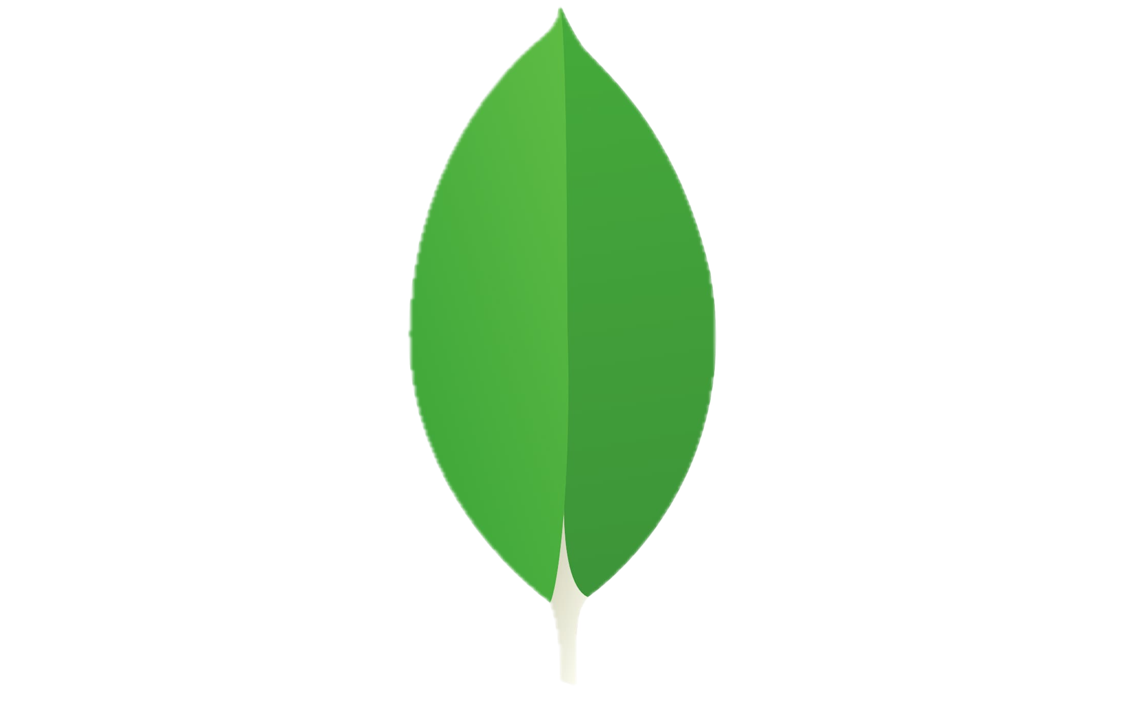 mongodb logo